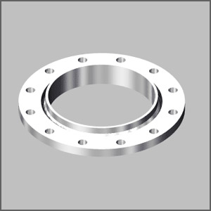 EN1092-1 Flanges